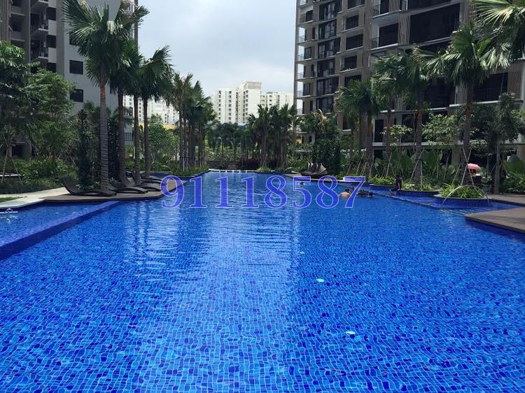 River Isles (D19), Condominium #114076062